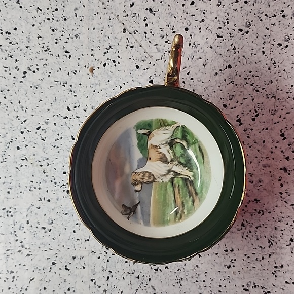 Regency English Setter Dog Pheasant Tea Green Cup Saucer Bone China England - Picture 3 of 7